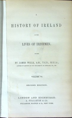 A History of Ireland in the Lives of Irishmen cover
