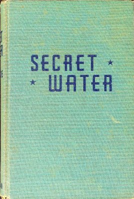 Secret Water cover