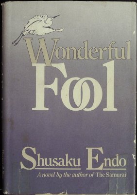 Wonderful Fool cover