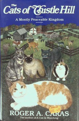 The Cats of Thistle Hill cover