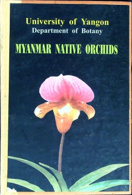 Myanmar Native Orchids cover