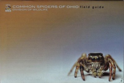 Common Spiders of Ohio Field Guide cover