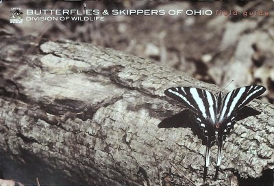 Butterflies & Skippers of Ohio Field Guide cover