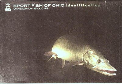 Sport Fish of Ohio Identification cover