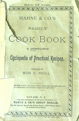 Hahne & Co.'s Family Cook Book: A Complete Cyclopedia of Practical Recipes cover